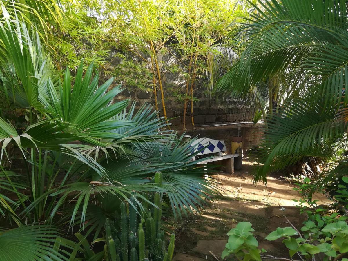 ホテルHarvest House Nicaragua León エクステリア 写真